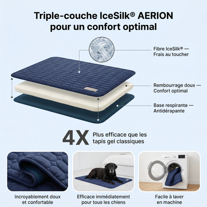 Je découvre IceSilk®