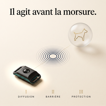 Je découvre TickOff®