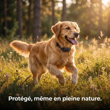 Je découvre TickOff®
