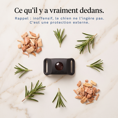 Je découvre TickOff®