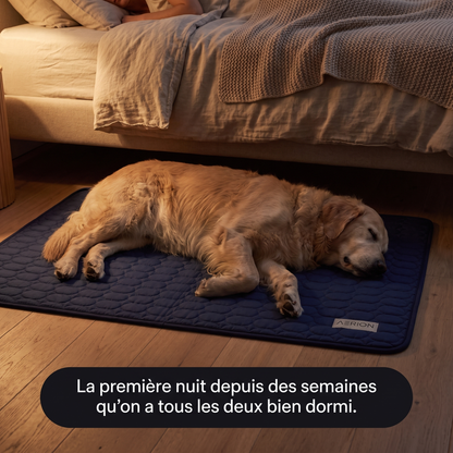 Je découvre IceSilk®